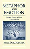 Image for Metaphor and Emotion: Language, Culture, and Body in Human Feeling (Studies in Emotion and Social Interaction)