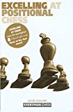 Image for Excelling at Positional Chess (Everyman Chess)
