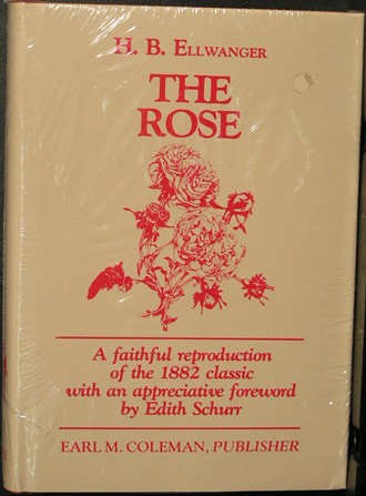 Image for The rose (Old rose series)