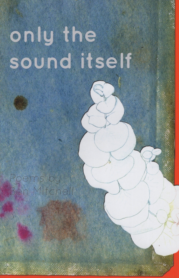 Image for Only the Sound Itself (Codhill Press)