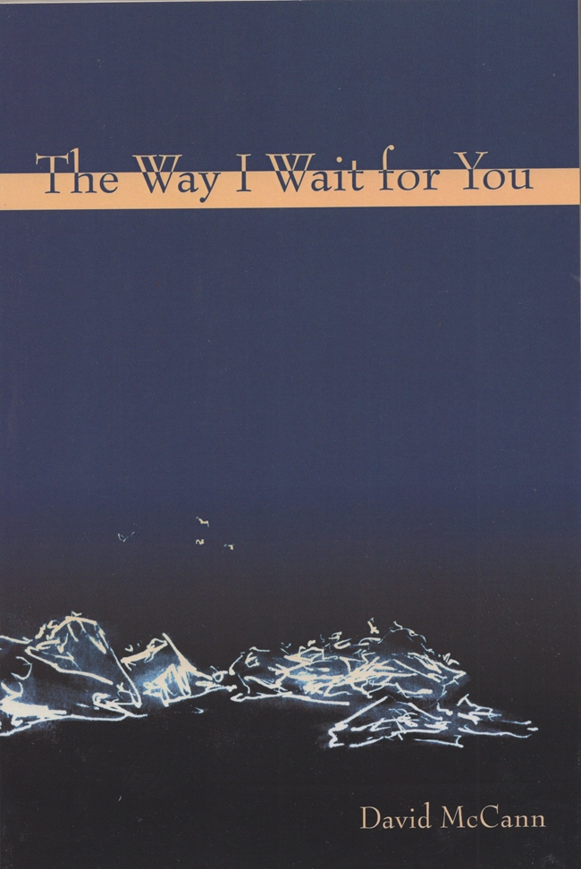 Image for The Way I Wait for You (Codhill Press)