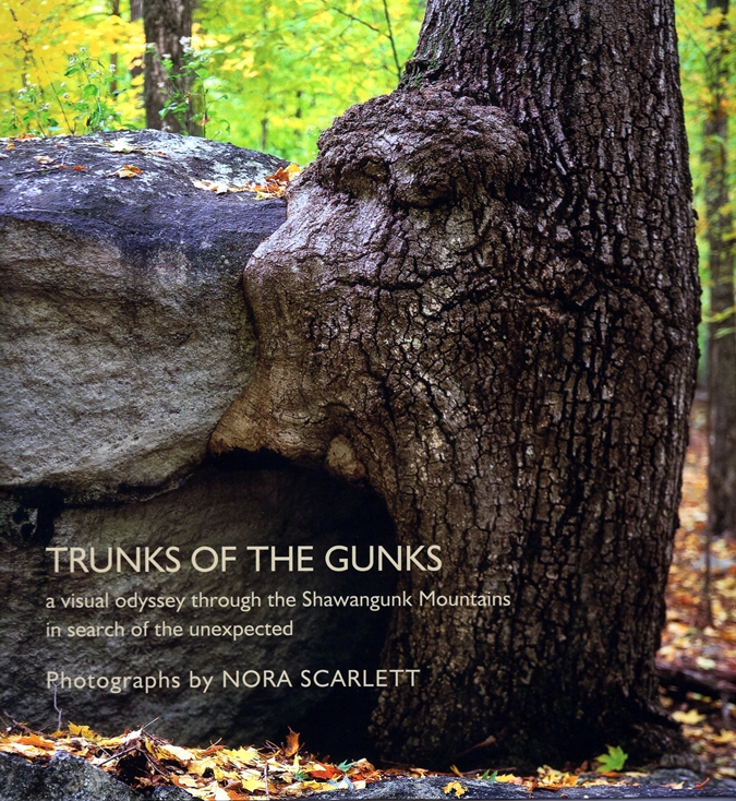 Image for Trunks of the Gunks: A Visual Odyssey through the Shawangunk Mountains in Search of the Unexpected
